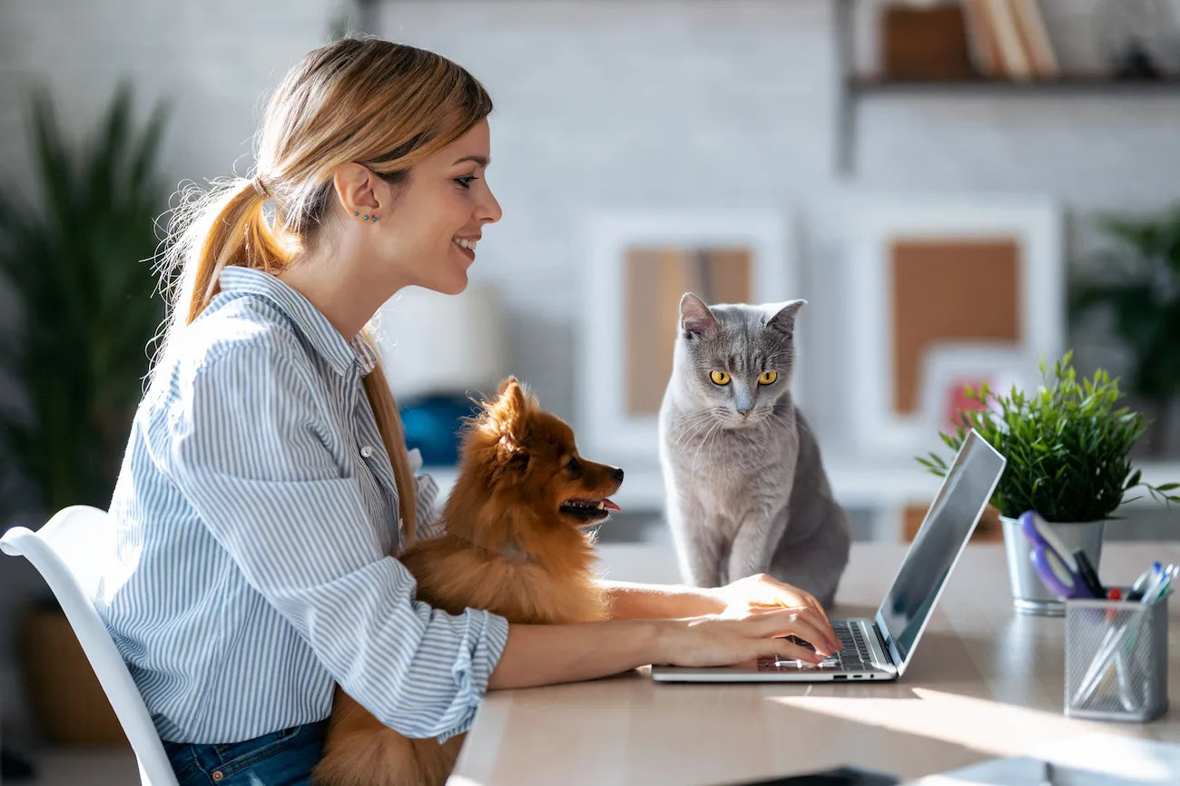 Свържи се с PetsHub - Легла за кучета и котки